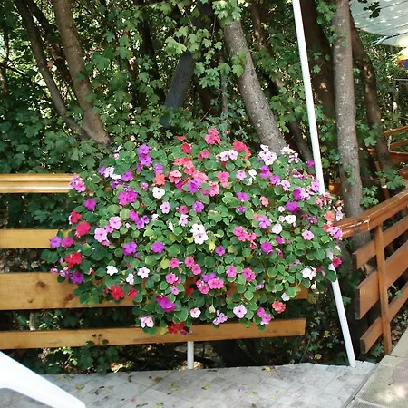 Vendégház Exotica 2*