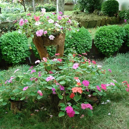 Exotica Гостьовий будинок Балчик