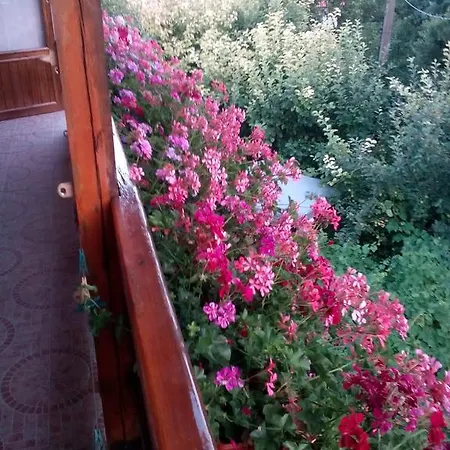Exotica Гостьовий будинок