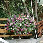 ゲストハウス Exotica 2*