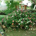 ゲストハウス Exotica 2*