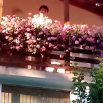 Exotica 2* バルチク