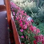 Exotica ゲストハウス