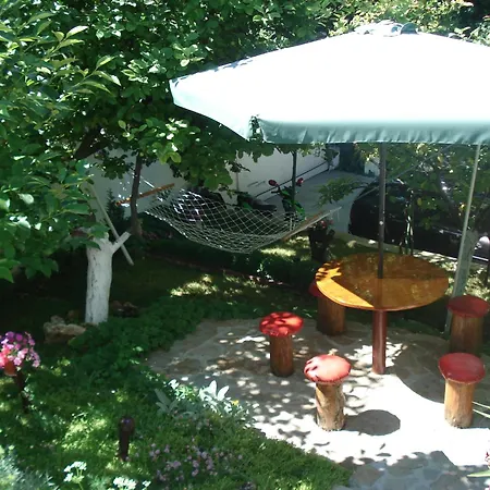 Exotica Pensión Balchik