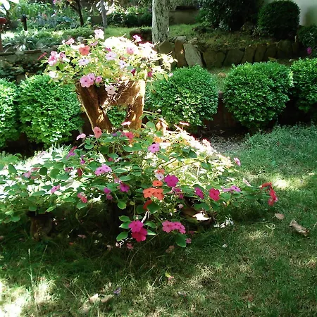 Exotica Guest house Balchik