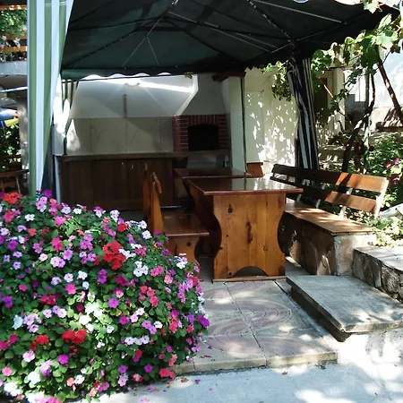 Exotica 2* バルチク