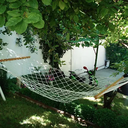 Exotica ゲストハウス