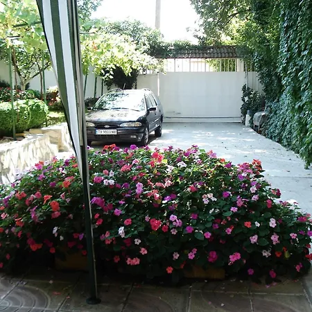 Exotica Pensión Balchik