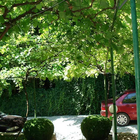 Exotica バルチク