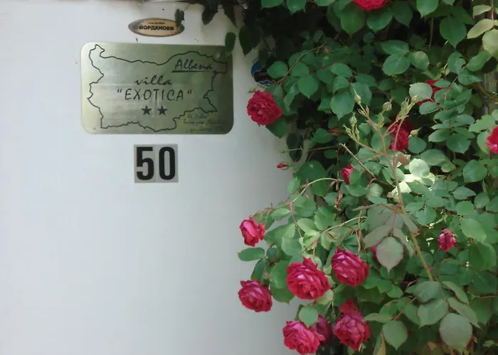 Guest house Exotica Balchik