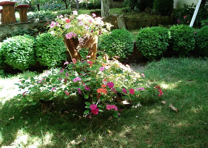 Exotica Guest house Balchik