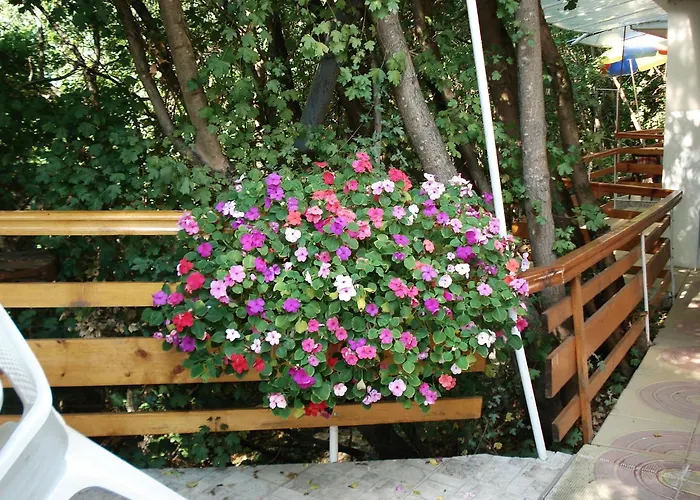 Guest house Exotica 2*