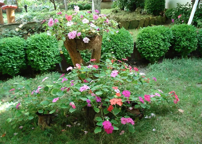 Exotica Guest house Balchik