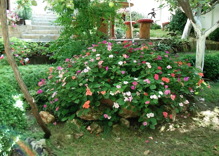 Guest house Exotica 2*